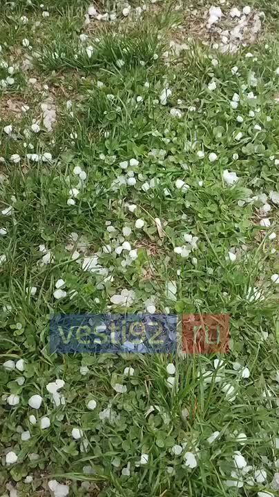 � ������������� ����� ����