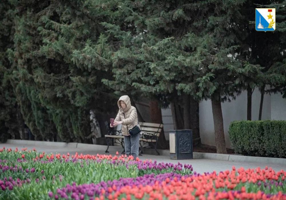 ���� ������ ��� ����� �������� 185 ����� ������, ��������� ���������� ������������ ������� � �������