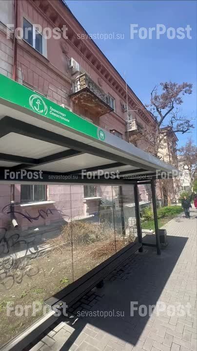 #���_�����. �����, �� ����������� ������������ ���������� ����� ������������� ����-���������� ���������?