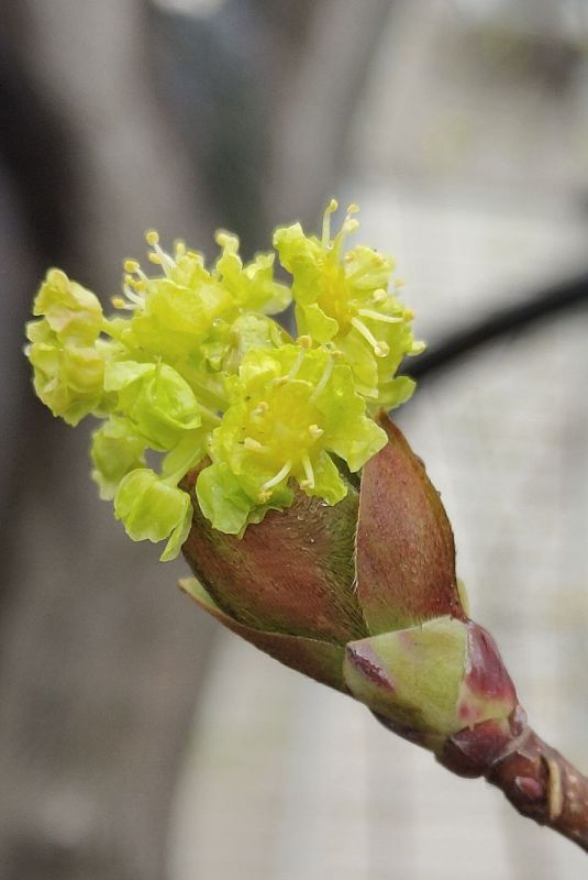 ���� ����� � ��������� ������� �� ����!