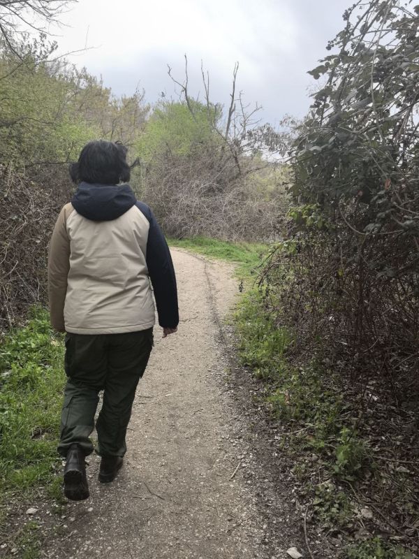 ����� ���������� ������� ����� � ����� ���������� - ���������� ������������ ��������� �������� � �������� �����������, ���� ������������ ������������� ������� �� ��������� �������