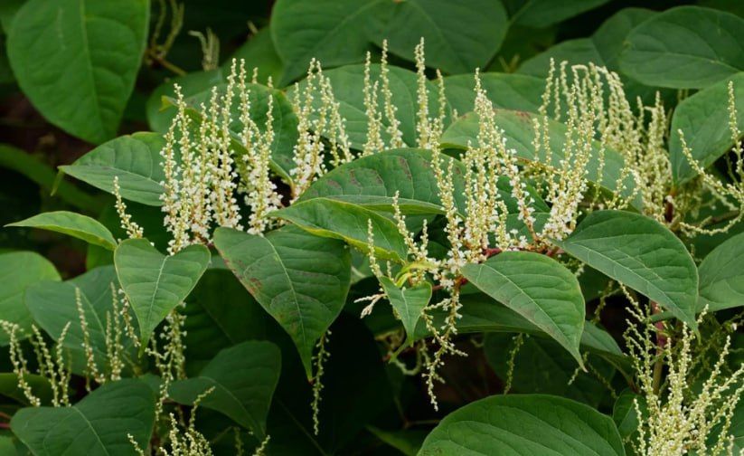 � ����� ����� ������������ ���������� ��������� ���������