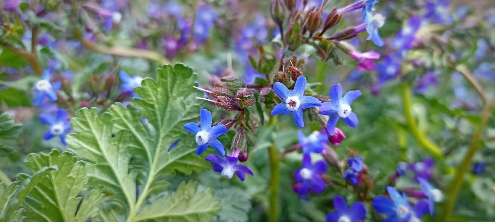 ������ ����, �����������! ������� ��� ����� ��������� ������