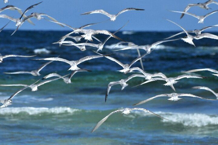 � ����� � ���������� �������� �� ����� �������������� 10.04.2025 �. ������ ���� c 15:00 �� 18:00 10.04.2025 �. (��������������) ������������� �� ����� � ����� ����: