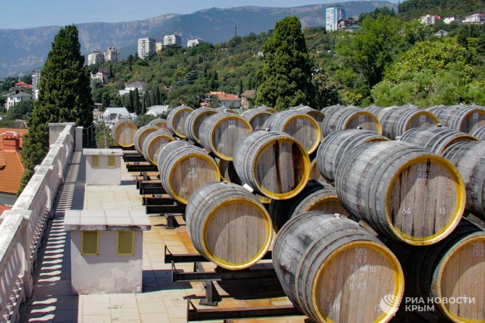 �������� ���� �������� ������