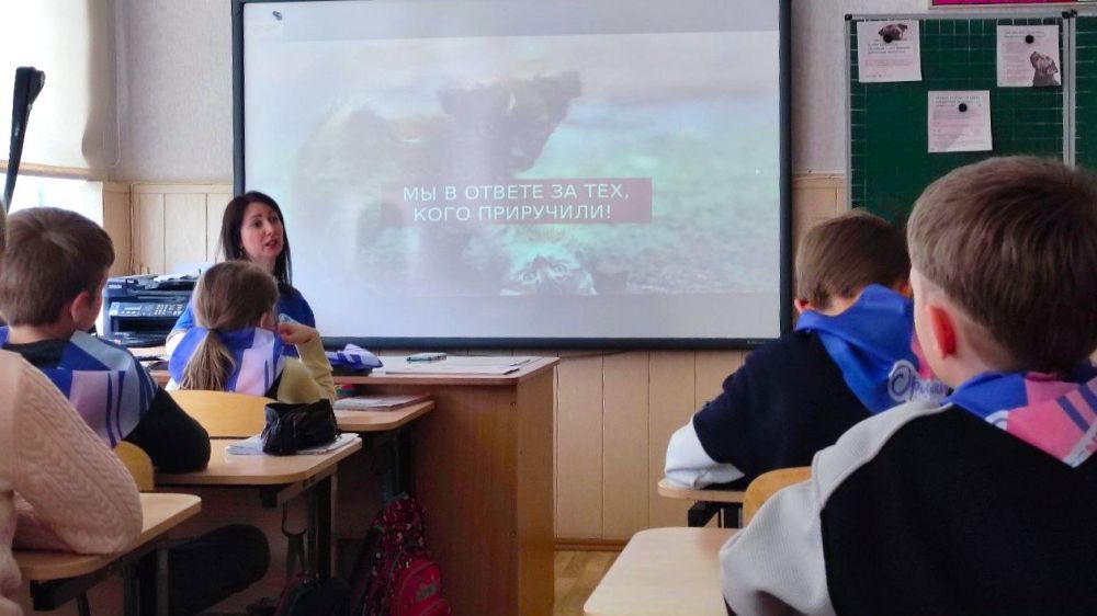 ���� �������� ��������. ������ ����� � 35 ������ � ����������� ������� ���������� ����������� �������� ���� �������� ��������