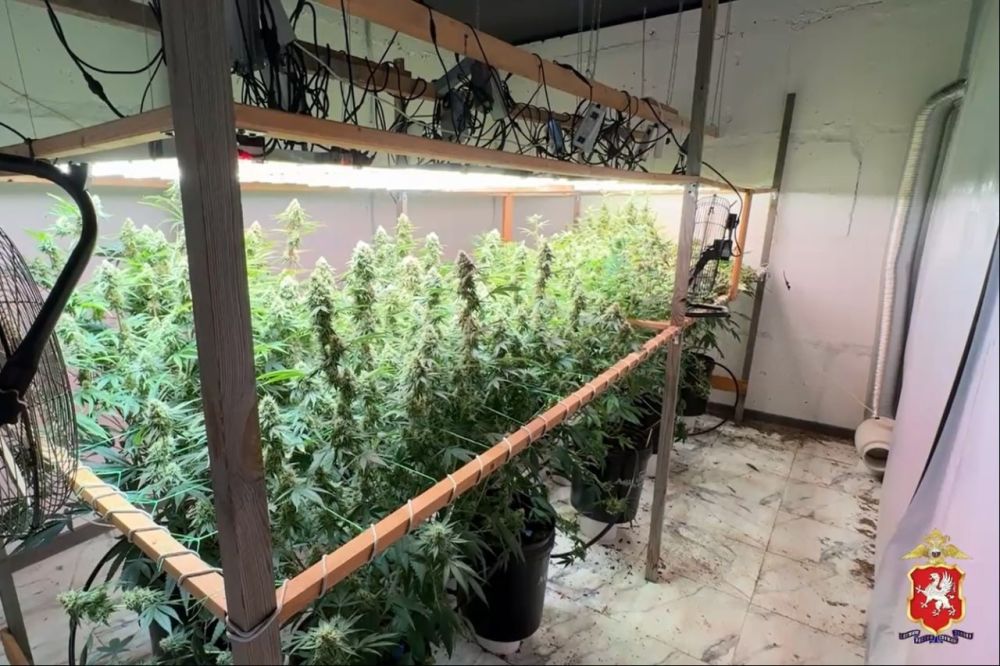 ������ ��������� �������� � ����������� ������� � ������� ���������