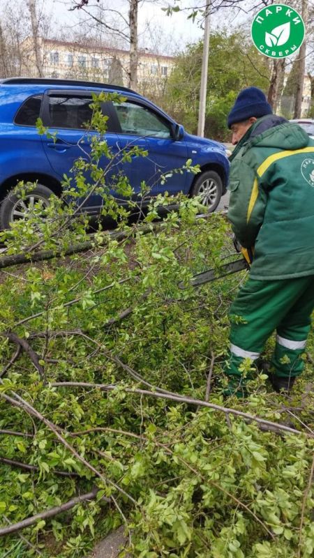 ������� ������ � ����������� �������� ����� ��������