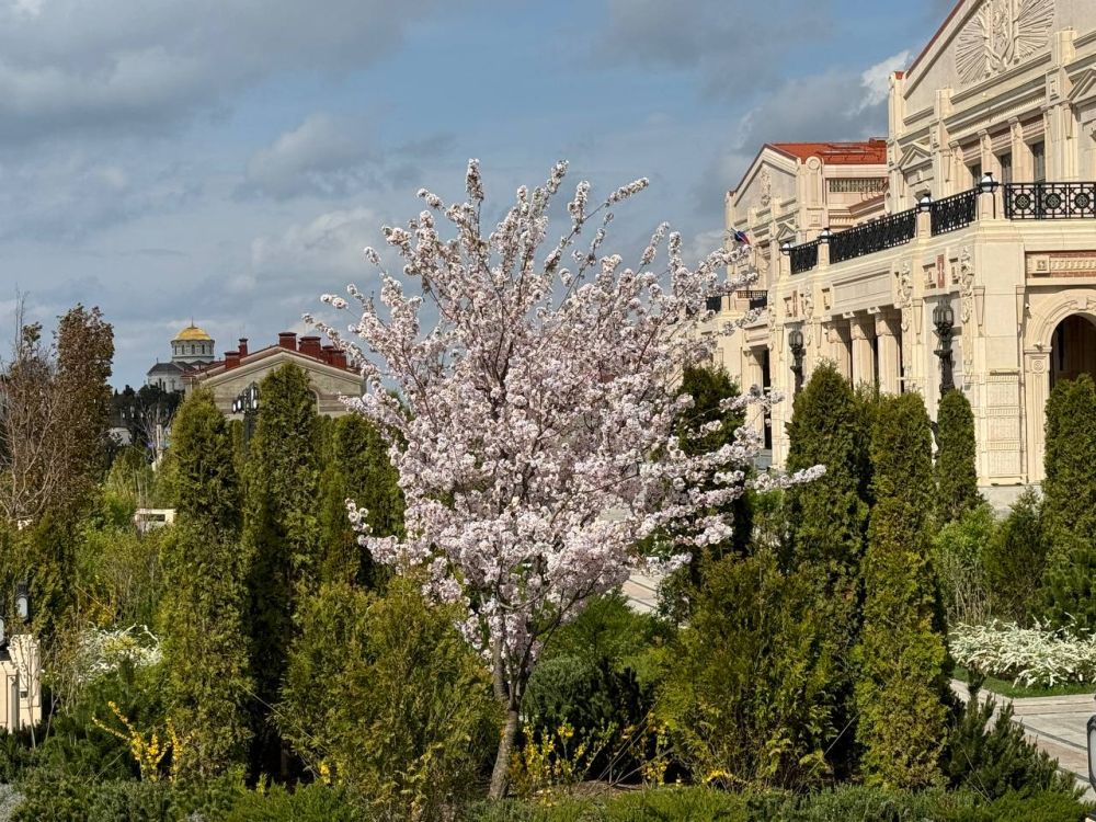 ������ �������, �����������!