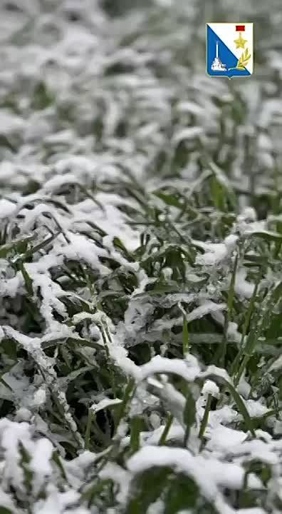 ������ ����� - ����������� � �����