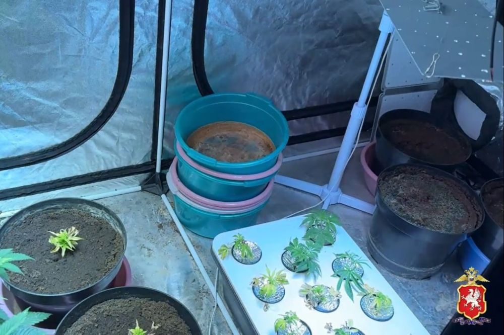 ������ ��������� �������� � ����������� ������� � ������� ���������