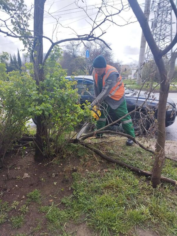 ��� ������������ ������ ����������� �������� � ���������� ����� ����������