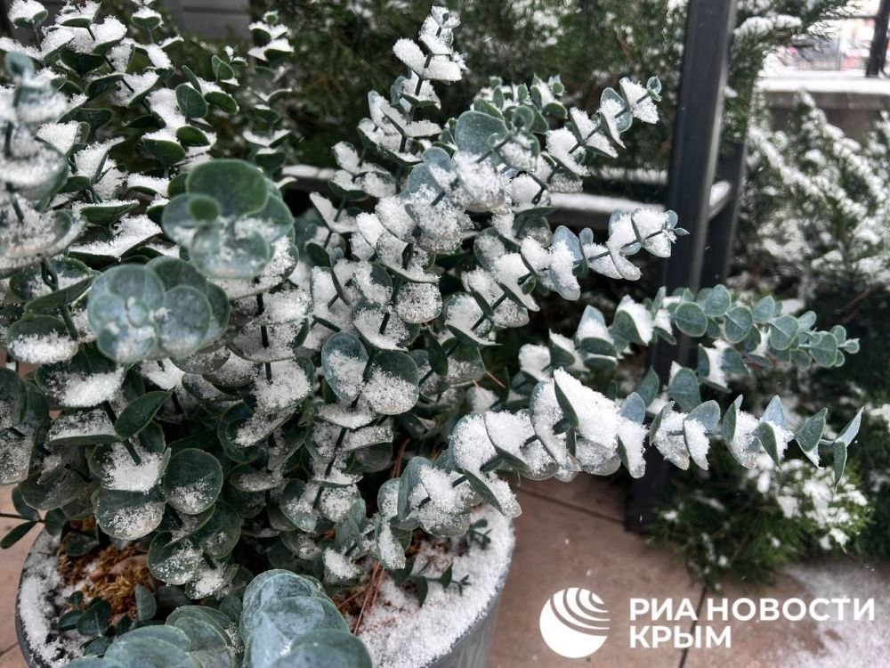 ������� ������ � ����� �� �������