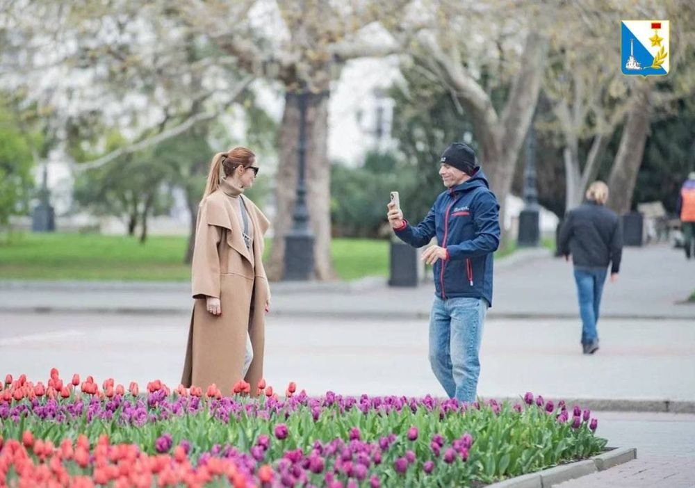 ���� ������ � ����������� �������� 185 ����� ������