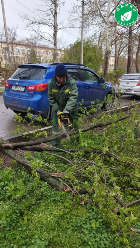 ������� ������ � ����������� �������� ����� ��������