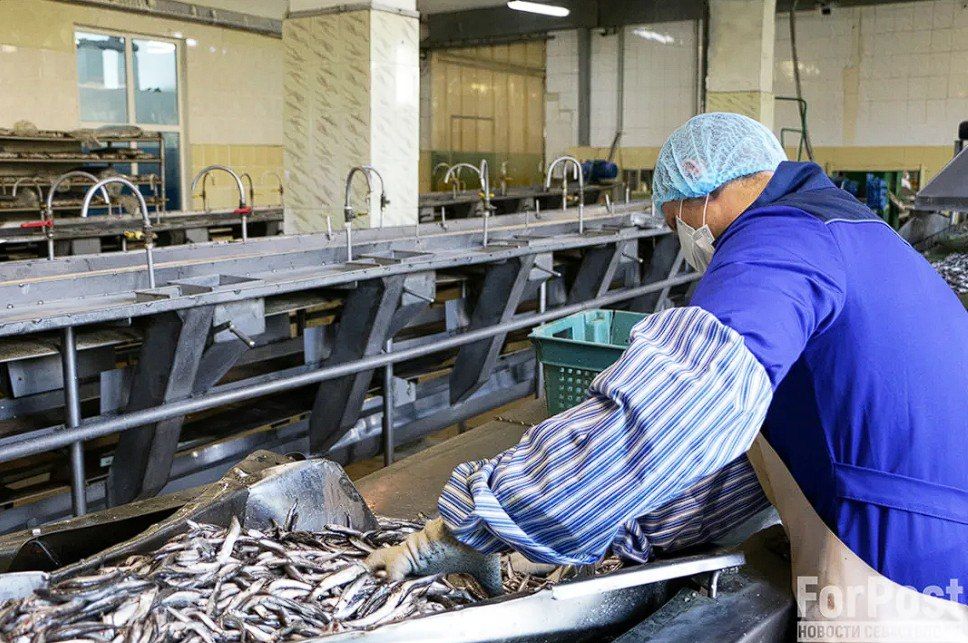 �������������� �������� ����������� ������������ �� �����