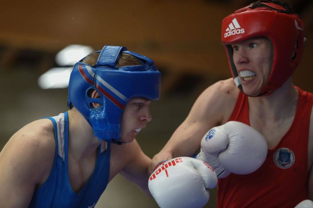 ������ ����������: ��������������� ��������� ������ ������� ���� ����������� ���������� ������ �� ����� ����� ������ 15-16 ��� � �������!