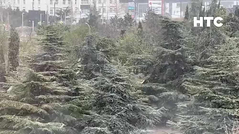 ����� ��� ������, ��� ��������� �����, �� � ������ ������ �����