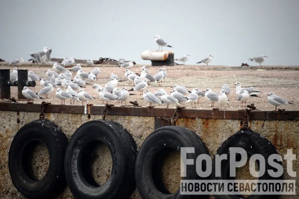 �� �������� ������ � ����� � ����������� ������ �������� �����