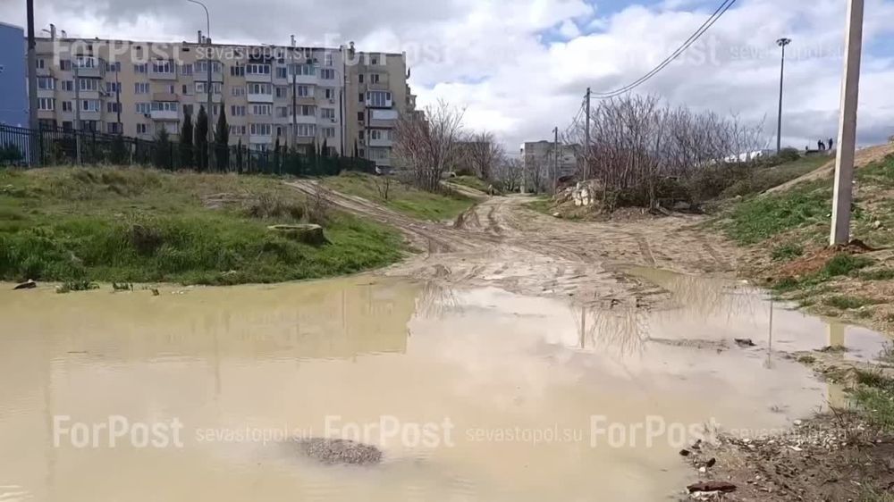 #���_�����. ������� � ������ �� ���� �� ���������