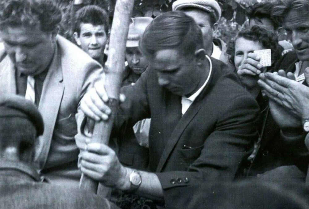 ��������� ���������: 12 ������ � ������ �������� ���� ������������!