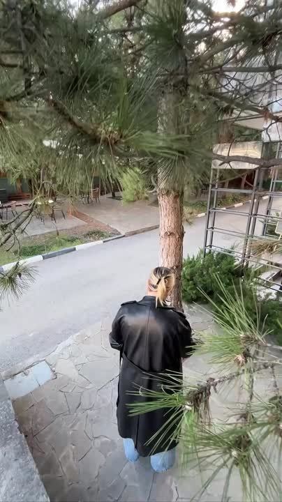 �������, �������� �������� �� ����, ���������� ���������