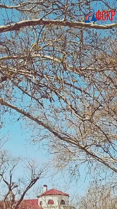 ������, � ���� ������� � ������������!