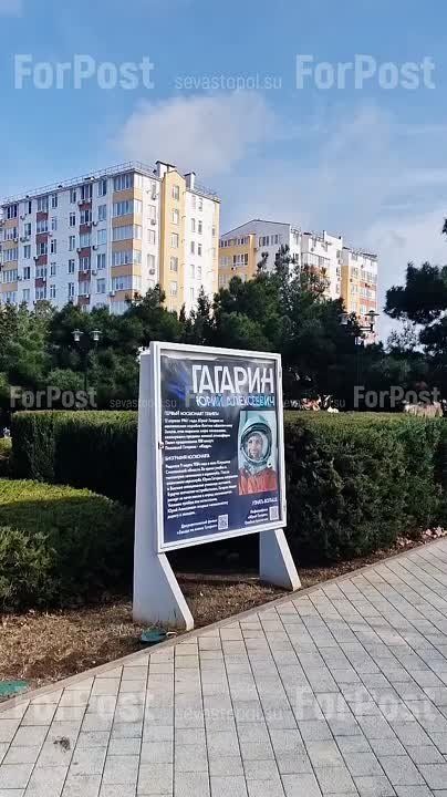 � ���� ������������ ����������� ��������, ����������, �������� "��������" ������� ��������-�������: