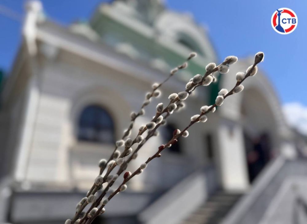 ������������� �������� ������� �����������