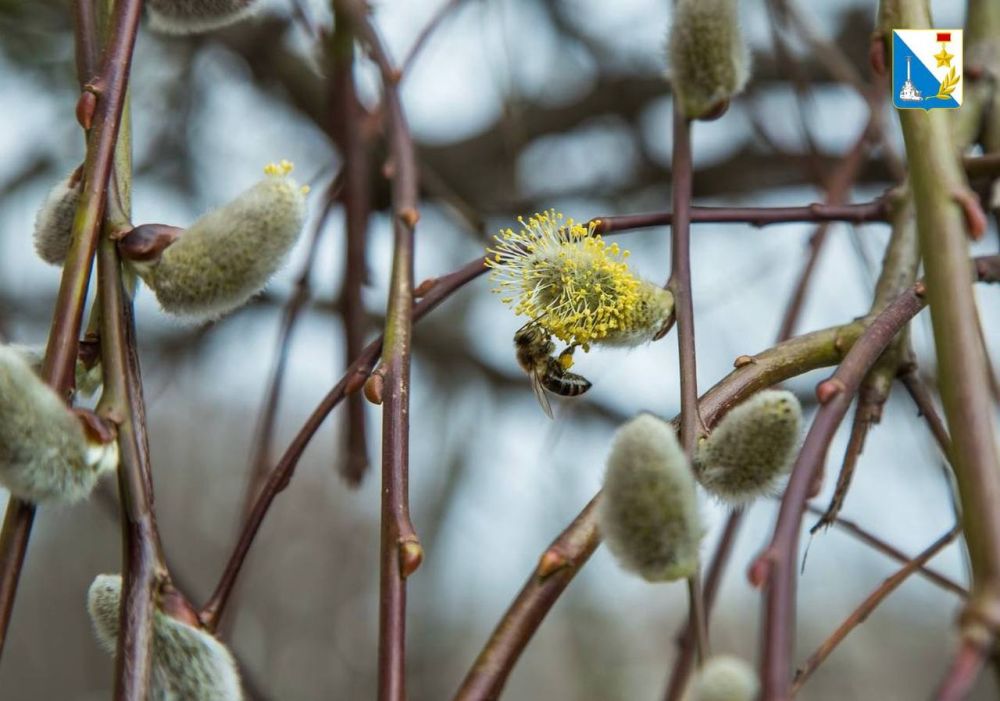 ������ ����, �������������!