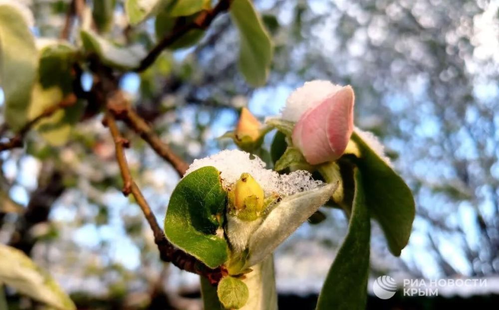 ������� ������ � ����� �� �����������