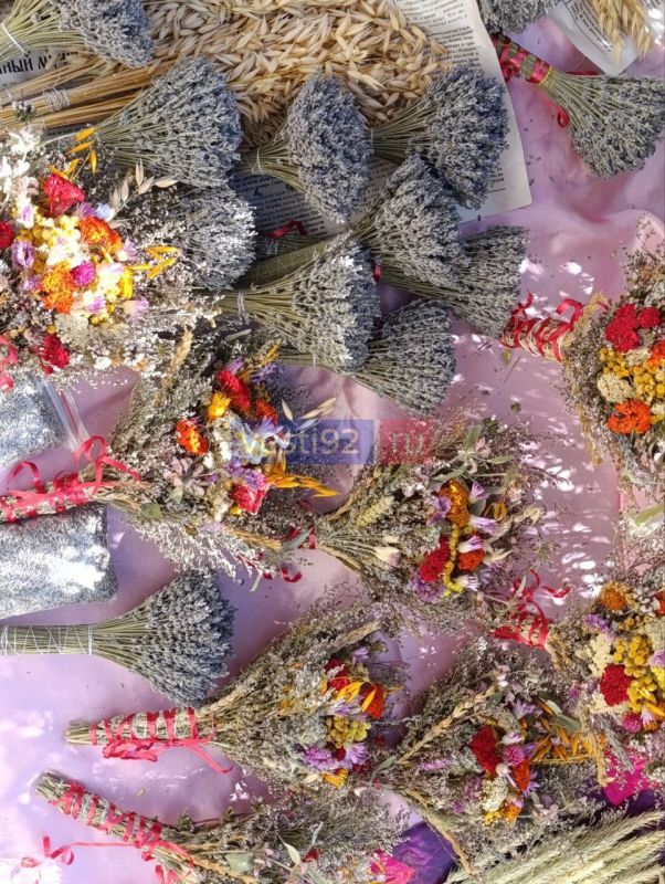 ������� ������������ �������� ������� �����������