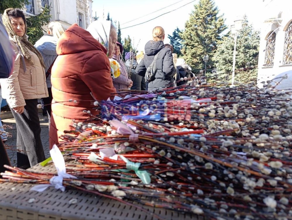 ������� ������������ �������� ������� �����������