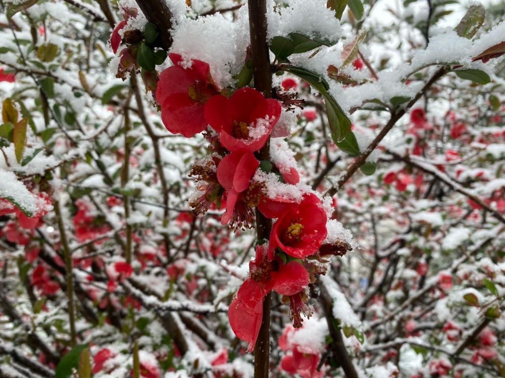 ������� ������ � ����� �� 13 ������