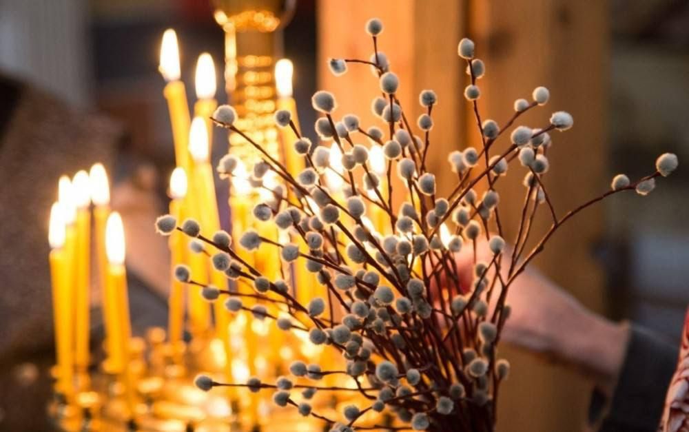 ������� �����: ���� ������������ � ���������� ����� �������� � ���������!