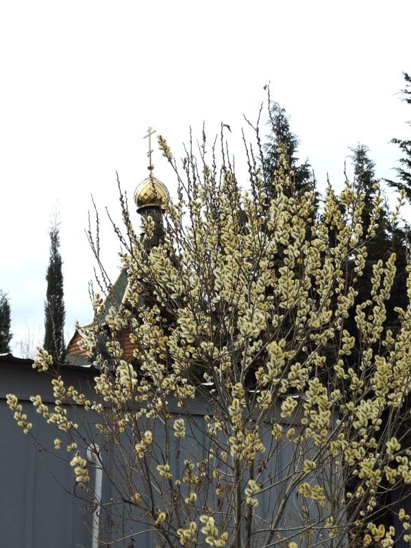 � ������� ������������, �����������!