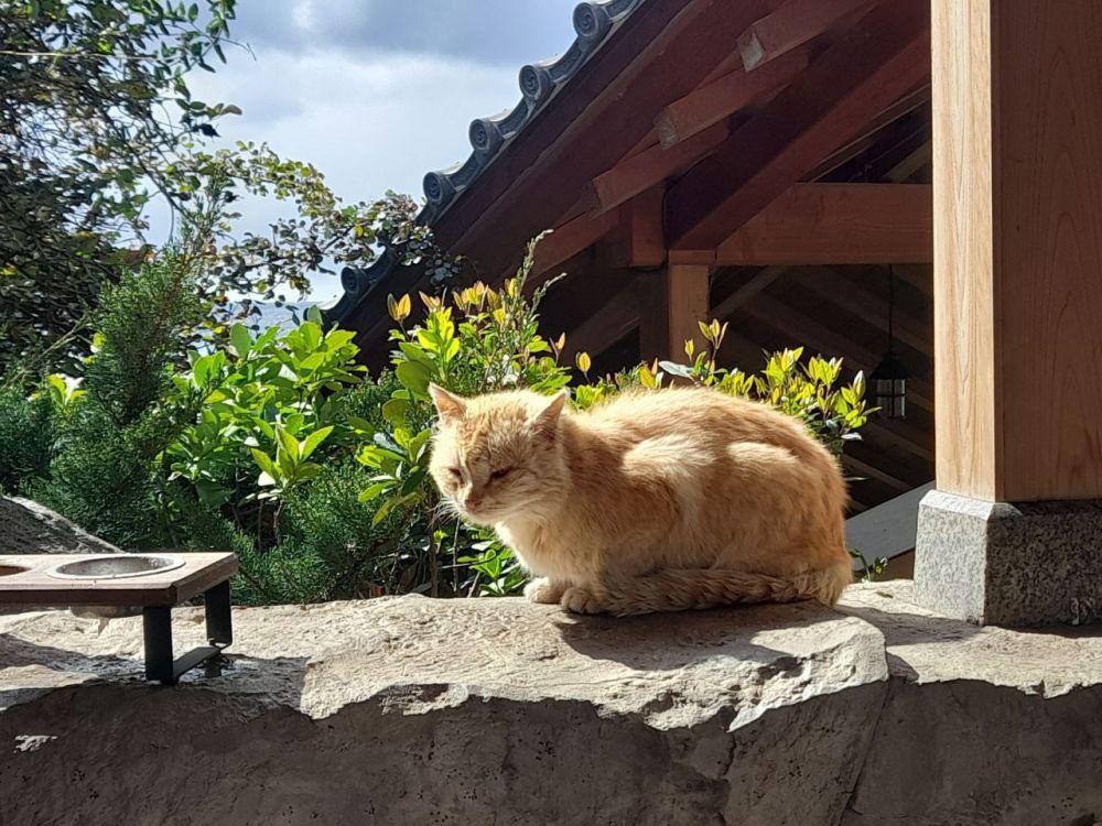 ������ ����, �����������! ������� ��������� ������� ������� � ������������