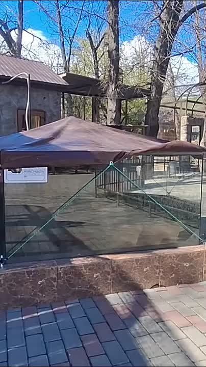 Байбаки проснулись, весна — поспеши!