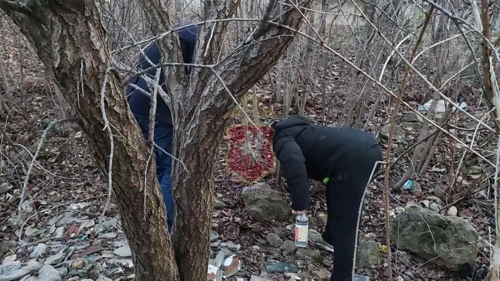 Закладчик из Севастополя предстанет перед судом