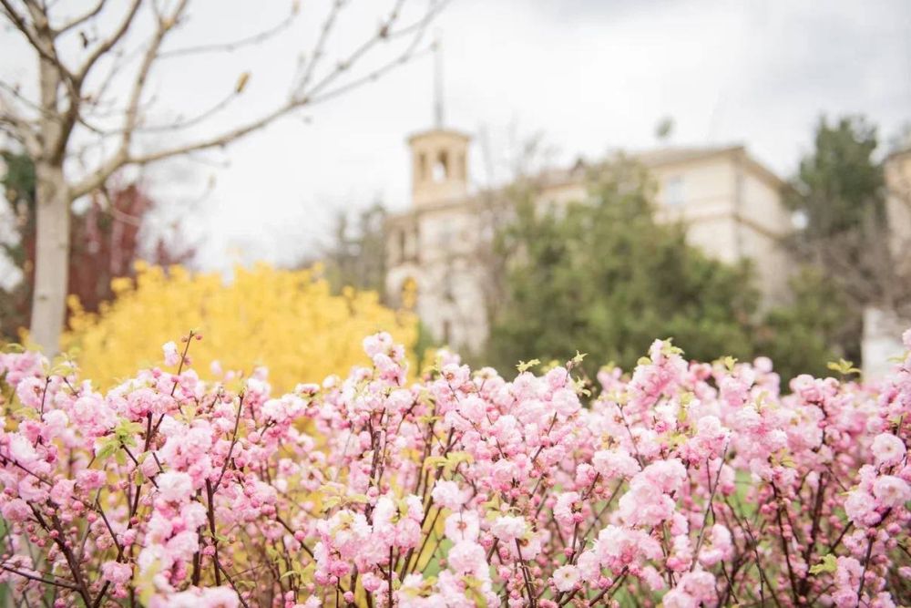 ����������.....������� ������!