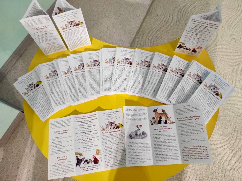 ���������� ��������������� ����������� ����������� ������ �������-������������������ ���������� �������� �������� ��������� � ����������� ����������� ����������� �������� � ��������������� ������������ ��������� ����� ��� �...