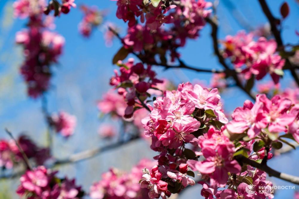 ������� ������ � ����� �� �������