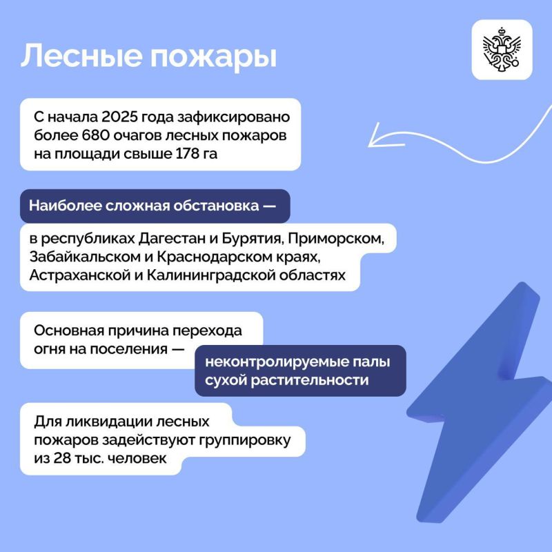 14 ������ �������� ����� ����� ������-��������� � ������� �������������