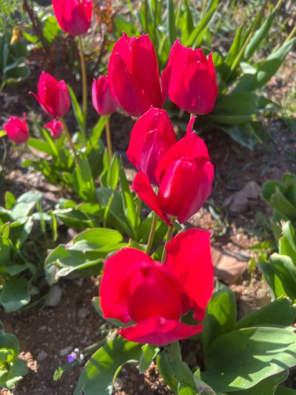 ������ ����, �����������! �� ���...��� � ����� ��������� �� ����������