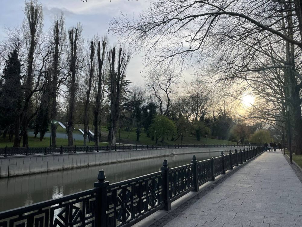 ������� ������ � ����� �� 15 ������