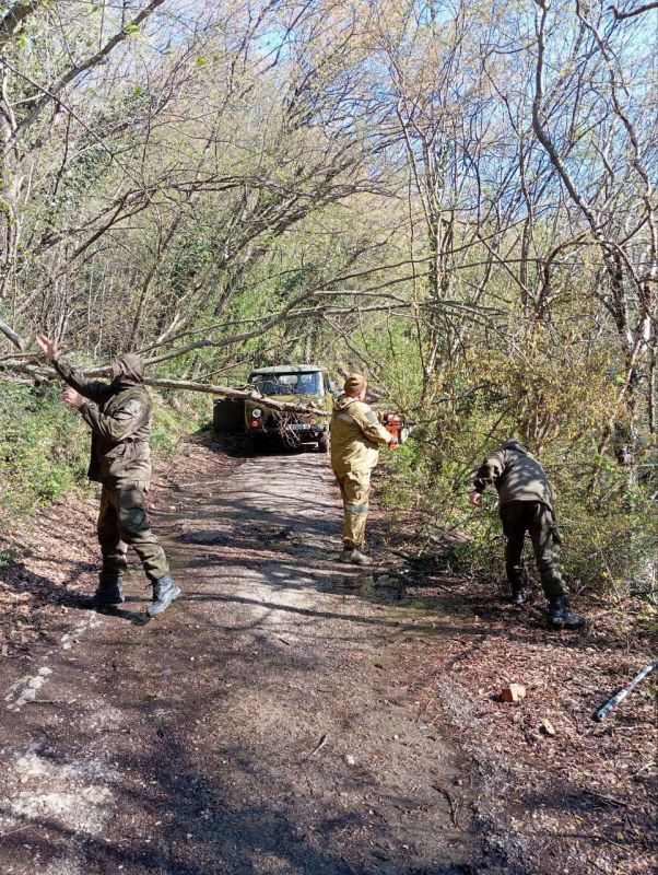 � ��������� ����������� ������� ������� ����� �������� �������.