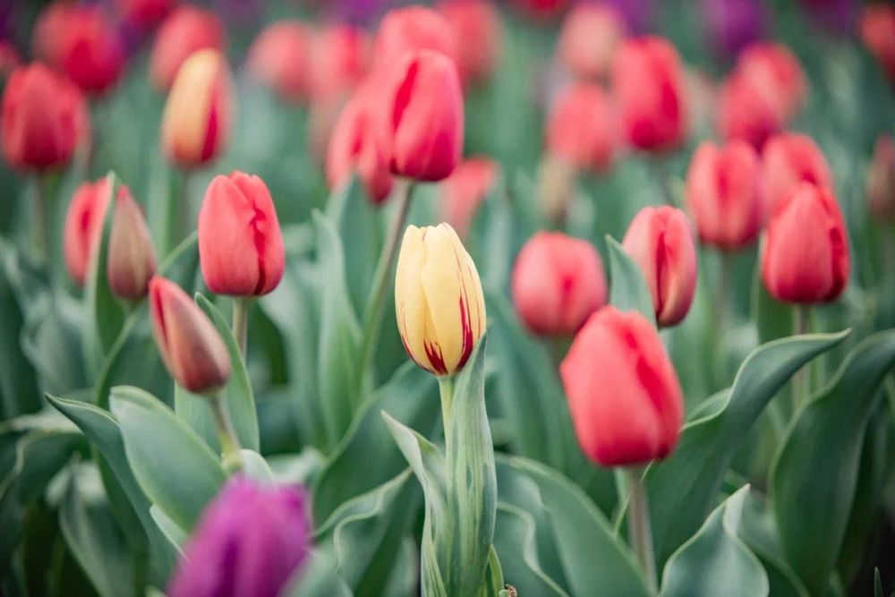 ����������.....������� ������!