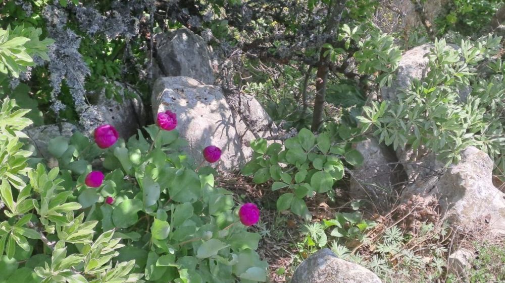 � ������ � ����������� ������ �����, � ����� ��������� �����