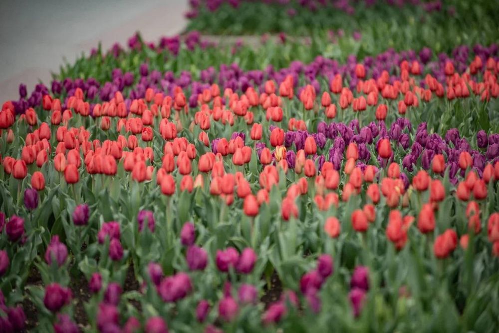 ����������.....������� ������!