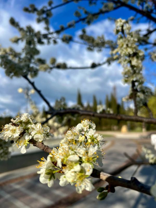 ������ ����, �����������! �� ���...��� � ����� ��������� �� ����������